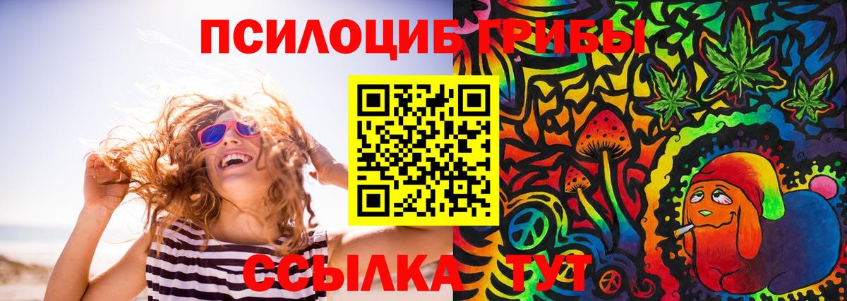 Галлюциногенные грибы Psilocybe Анжеро-Судженск