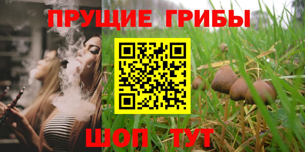 Анжеро-Судженск  где продают   Вход с VPN  Псилоцибиновые грибы Psilocybine cubensis 